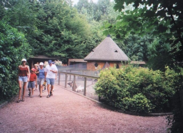  paseo familiar por el parque 